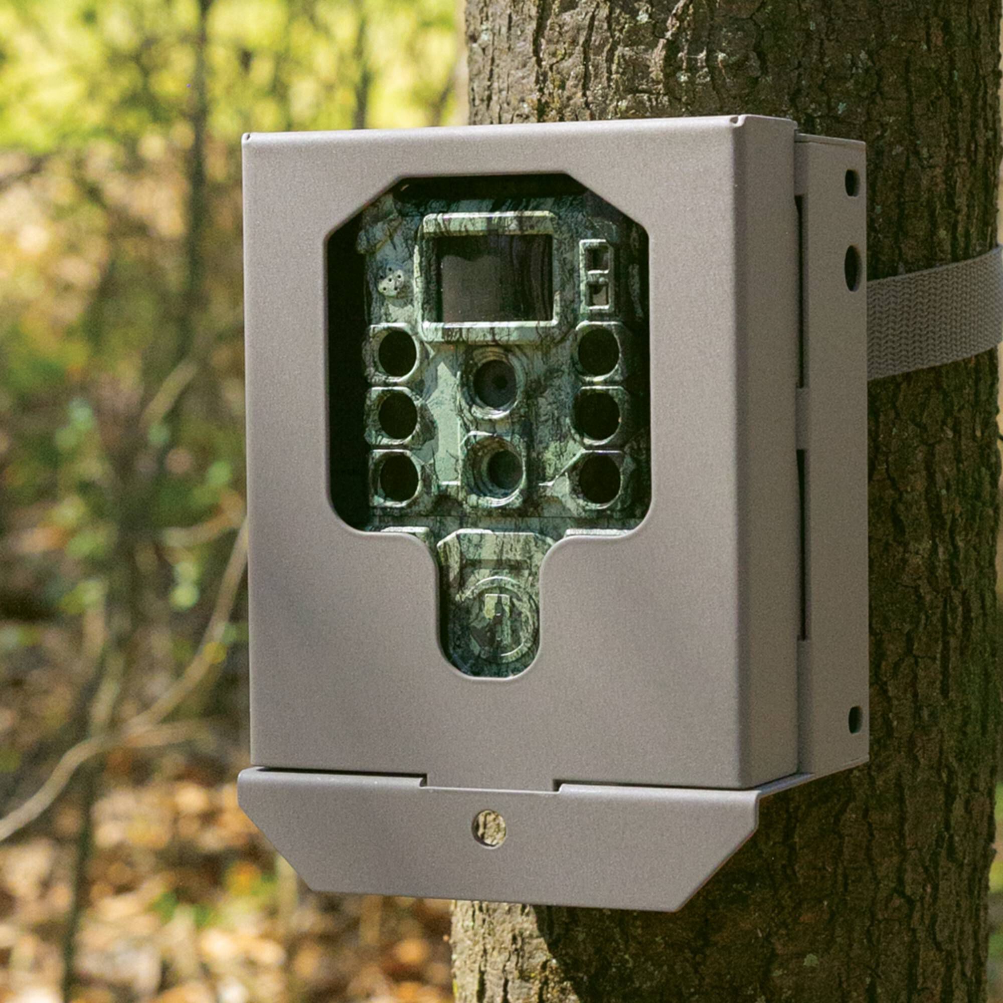 Bushnell trail camera online security box